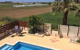 Quality Villa With Pool In Superb Location In Paphos
