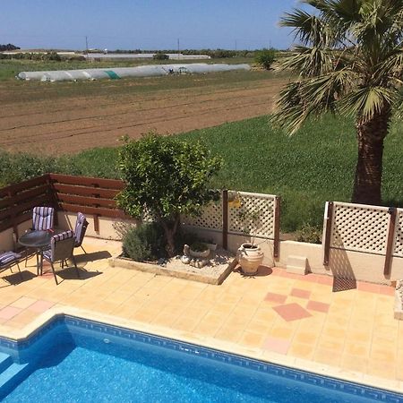 Quality Villa With Pool In Superb Location In Paphos Mandria  Exterior photo
